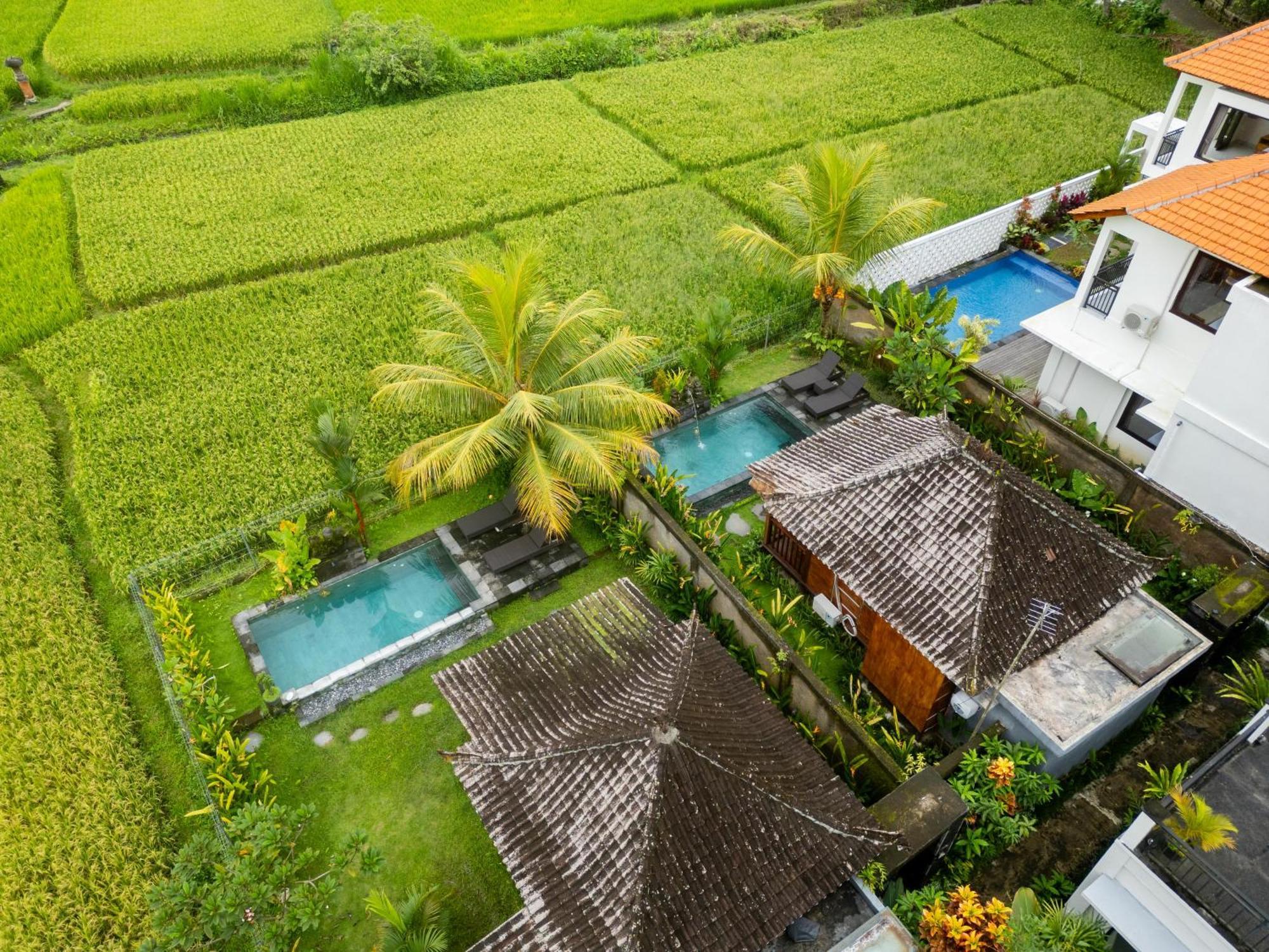 Mardika Private Villa Ubud Exteriér fotografie
